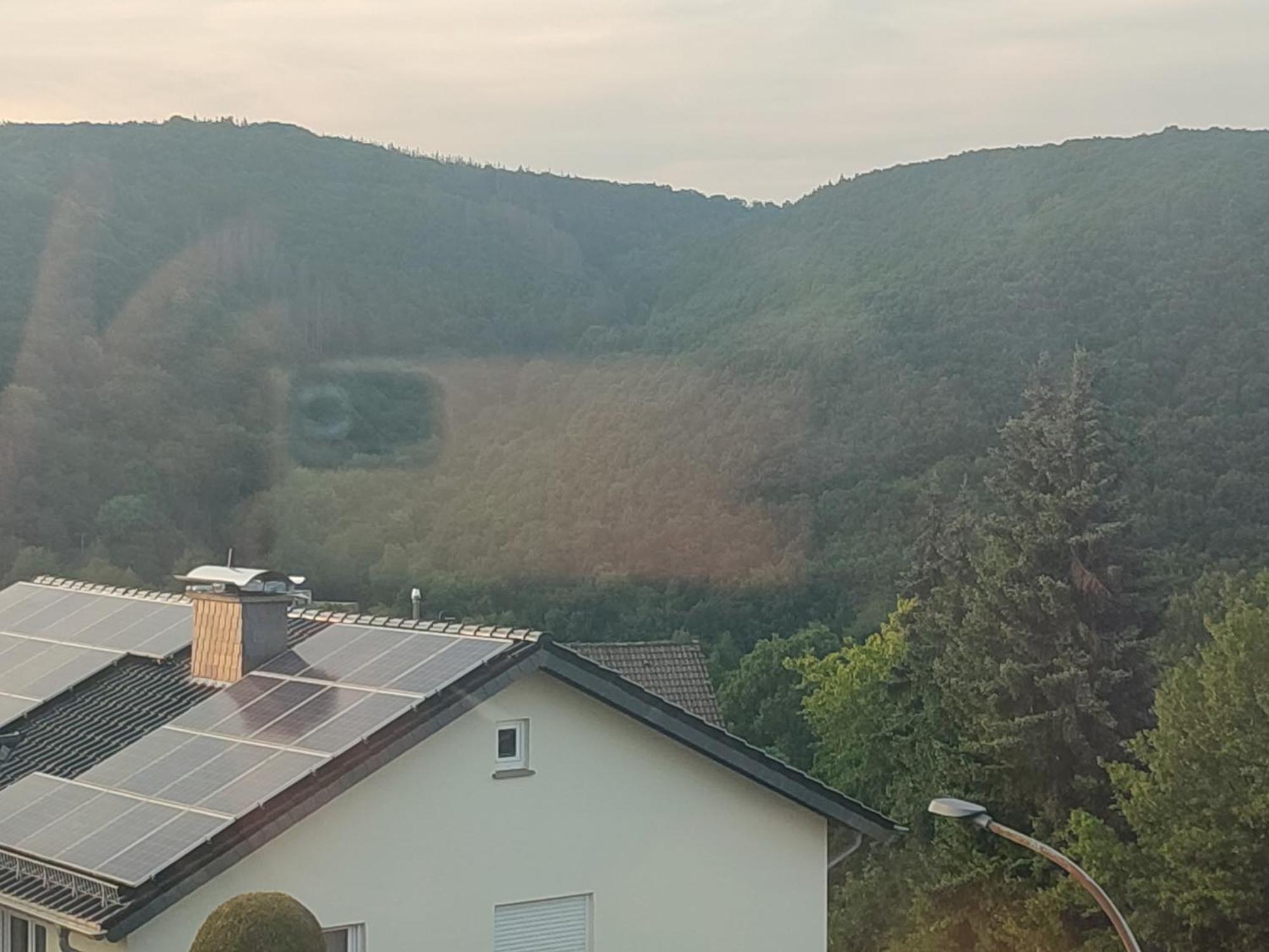 Kermeterblick Apartment Schleiden Ruang foto